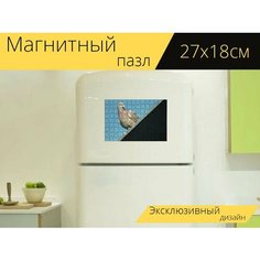 Магнитный пазл "Голубь, голубиные птицы, птица" на холодильник 27 x 18 см. Lots Prints