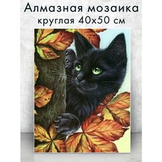 Алмазная мозаика (круг) "Черный кот" 40х50 см Colibri