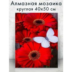 Алмазная мозаика (круглая) Бабочка на букете 40х50 см Colibri