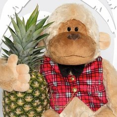 Мягкая игрушка Обезьянка в жилетке Антон, 26см Budi Basa Collection