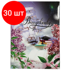 Комплект 30 штук, Портфолио папка Выпускнику А4 Космос с 3мя файлами ламинированная Noname