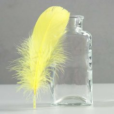 Набор перьев гуся 13-18 см, 20 шт, жёлтый Noname