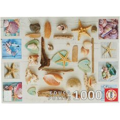 Пазл Educa Коллаж Ракушки (17658), 1000 дет.
