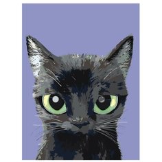 Картина по номерам, "Живопись по номерам", 30 x 40, A556, котенок, животное, большие зеленые глаза, синий фон, портрет