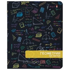 Альт Тетрадь Яркое настроение Геометрия, клетка, 48 л., черный