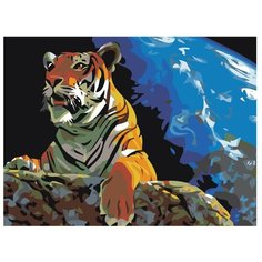 Картина по номерам, "Живопись по номерам", 36 x 48, KRYM-AN09