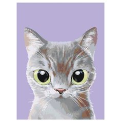 Картина по номерам, "Живопись по номерам", 36 x 48, A558, котёнок, большие глаза, серый, маленький, животное, домашний