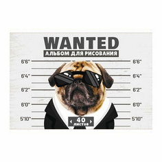 Альбом для рисования А4, 40 листов на скрепке, "Гангста", обложка мелованный картон, блок офсет 100 г/м2 Calligrata