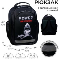Рюкзак школьный, 37 х 27 х 16 см, эргономичная спинка, Calligrata Б "Акула"