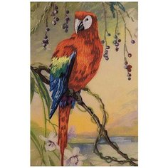 PANNA Набор для вышивания Живая картина Попугай Ара 17 х 27 см (ЖК-2071)