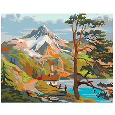 Картина по номерам, "Живопись по номерам", 40 x 50, PP08