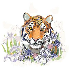 Картина по номерам, "Живопись по номерам", 40 x 40, A360, тигр, цветы, природа, животное, свобода, дикий, иллюстрация, рисунок