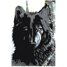 Картина по номерам, "Живопись по номерам", 60 x 90, A73, чёрный волк, животное, пёс, дикий, взгляд, иллюстрация