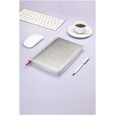 Ежедневник недатированный Bruno Visconti "SIDNEY NEBRASKA", с серебряным срезом, серебряный А5, Арт. 3-128/10