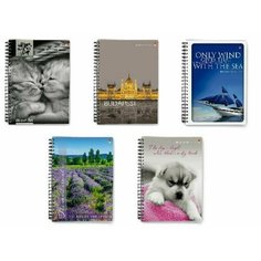 Блокнот-престиж "Ассорти", А6, 160 листов, клетка. Престиж-блокноты Альт