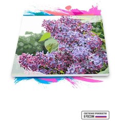 Картина по номерам на холсте Сирень, 100 х 150 см Красиво Красим