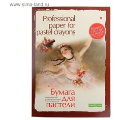 Бумага для пастели А4, 20 листов "Профессиональная серия", 150 г/м² Альт