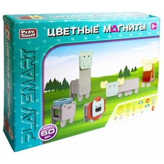 Конструктор магнитный 2469, 60 деталей в коробке. Play Smart