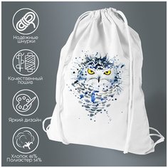 Сумка для обуви CoolPodarok Краски. Сова
