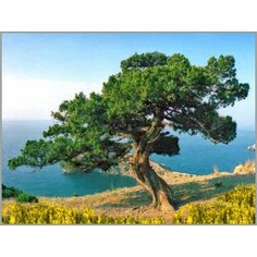 Алмазная мозаика Мыс Караул-Оба 40x30 см. Milato