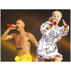 Картина по номерам на холсте Die Antwoord - 410
