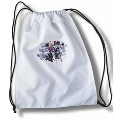 Мешок для cменной обуви Worlds End Harem Аниме - 32164 Brut Boxers