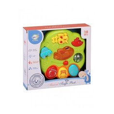 Развивающая игрушка ChimStar 801202, разноцветный