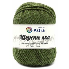 Пряжа для вязания Astra Premium Шерсть яка (Yak wool), 100 г, 120 м (+/-5%) (25% шерсть яка, 50% шерсть, 25% фибра) (24 зеленый мох), 2 мотка