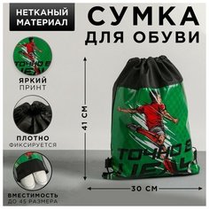 ArtFox Сумка для обуви «Точно в цель», 41х30х0,5 см