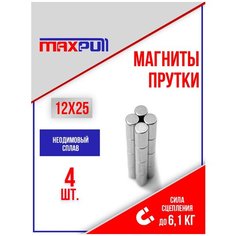 Магниты 12х25 мм MaxPull прутки NdFeB набор 4 шт. в тубе