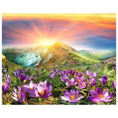Алмазная мозаика Colibri Цветы в горах 40х50 см Круглая