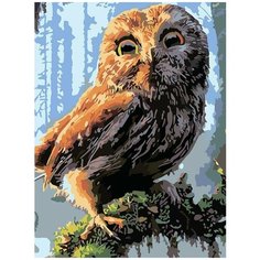 Картина по номерам на холсте Красочная сова на ветке - 6622 В 30x40
