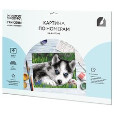 ТРИ СОВЫ картина по номерам Голубоглазый пушистик, 40 х 30 см, разноцветный