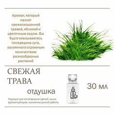 Свежая трава, отдушка для свечей и мыла 30 мл Candle M