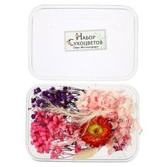 Набор для творчества «Набор сухоцветов» большой, розовый + красный + фиолетовый Школа талантов