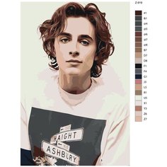 Картина по номерам Z919 "Тимоти Шаламе " 50x70 Brushes Paints