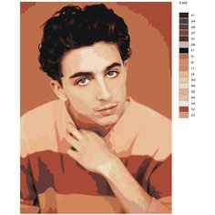 Картина по номерам Z924 "Тимоти Шаламе " 60x90 Brushes Paints