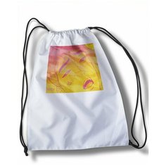 Мешок для сменной обуви Ahegao - 20690 Brut Boxers