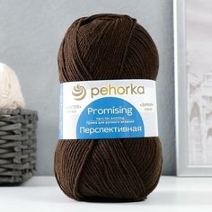 Пряжа "Перспективная" 50% мериносовая шерсть, 50% акрил объёмный 270м/100гр (251-Коричневый), 1шт Пехорка