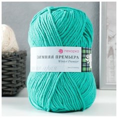 Пряжа ТероПром 50% меринос. шерсть, 50% акрил объёмный 150м/100гр (1407-Изумрудный го Пехорка