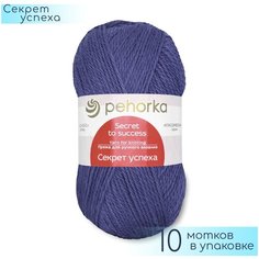 Пряжа Пехорка "Секрет успеха" №484 Баклажан, 100% шерсть, 100гр. 250м. 10шт.