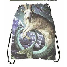 Сумка-мешок для обуви со знаком зодиака Козерог №4 Migom