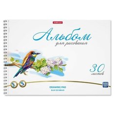 Альбом для рисования А4, 30л на спирали Birds, микроперфорация Erich Krause