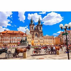 Рыжий кот Палитра. Холст с красками 40 × 50 см, 20 цв. «Пражская площадь»