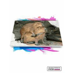 Картина по номерам на холсте Капибары с ножом, 90 х 100 см Красиво Красим