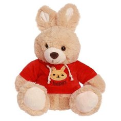 Мягкая игрушка «Зайчик в кофте», цвета микс Dreammart