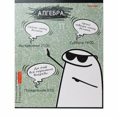 Тетрадь предметная 48 листов в клетку Школьные мемасики "Алгебра", обложка мелованный картон, тиснение холст, блок офсет Проф Пресс
