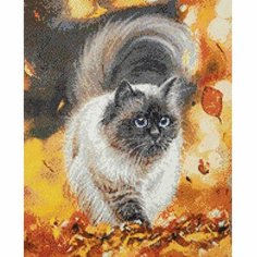 Cr 450093 Алмазная мозаика На встречу приключениям, 40*50 см, Cristyle