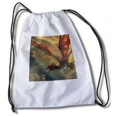 Мешок для сменной обуви с принтом с принтом Dragons Dogma Dark Arisen - 34160 Brut Boxers