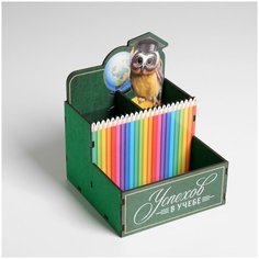 Органайзер для канцелярии "Успехов в учебе", 14,5 х 12,7 х 14 см Pro Market